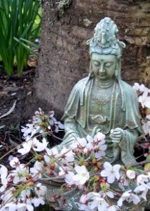 blossom buddha