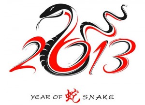 2013 snake year